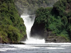 Donald Liebenberg visited Murchison Falls via boat on the Victoria Nile River. Courtesy of Donald Liebenberg