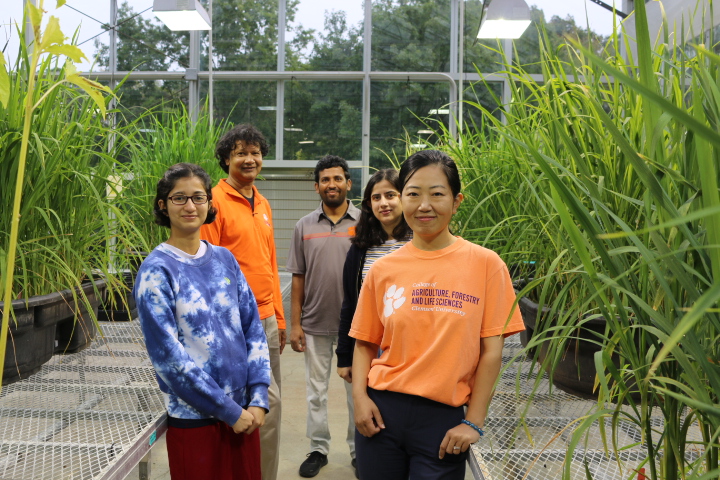 Raghupathy Karthikeyan with his research group in a Clemson BRC Greenhouse Complex.