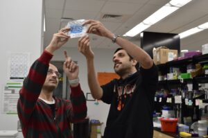 Clemson researchers Sachin Rustgi and Guatam Saripalli use facilities at the Clemson Pee Dee REC in Florence, South Carolina, to compare gluten-free products to their gluten-containing counterparts.