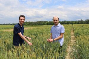 Clemson graduate student Zachary Jones and Clemson molecular breeder Sachin Rustgi are working to develop less-immunogenic wheat varieties at the Pee Dee REC.