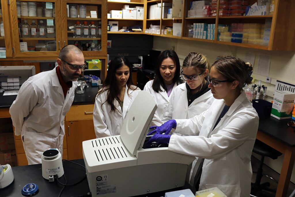 Clemson students Alana Weidman, Hannah Mammano, Kun Huang, Achala Pokhrel and researcher/professor Alexis Stamatikos use a centrifuge to explore protein alterations that could lead to more effective atherosclerosis treatments.