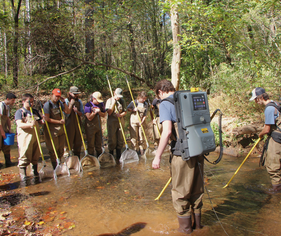 class photo with two people using electrofishing backpacks and the rest of the class standing downstream with nets in the water