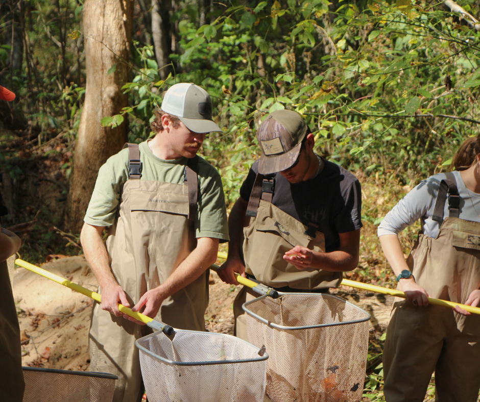 Two men holding nets looking at a fish