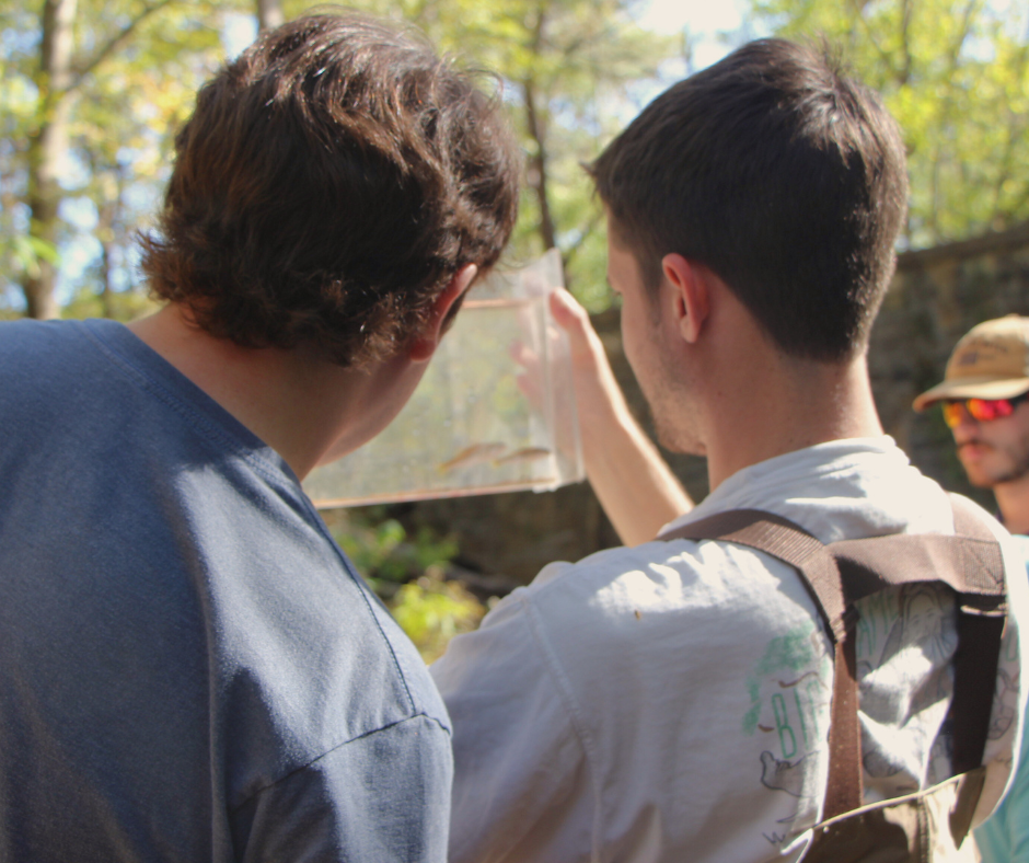 Two men looking at fish in a tank