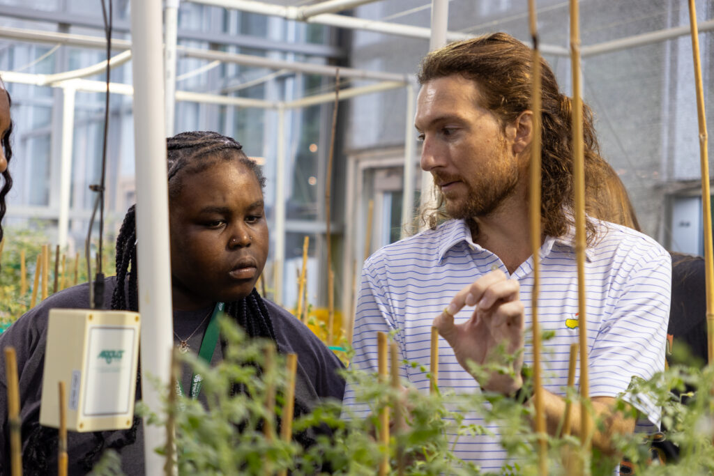 Tristan Lawrence explains how pulse crops are bred and grown in greenhouses on Clemson's main campus.
