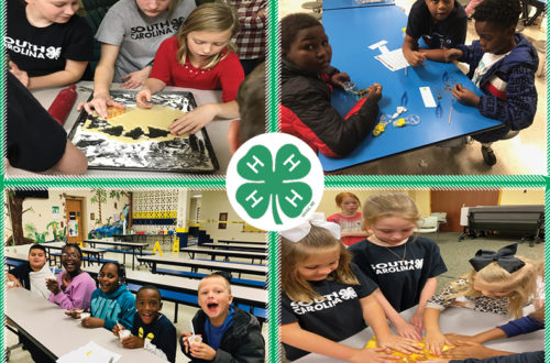 4-Hers and Boys & Girls Clubs doing various holiday activities
