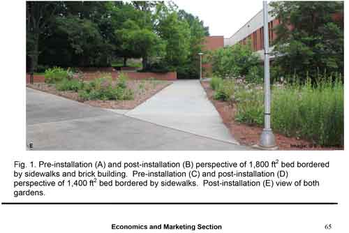 College of Agriculture Forestry and Life Sciences Clemson University