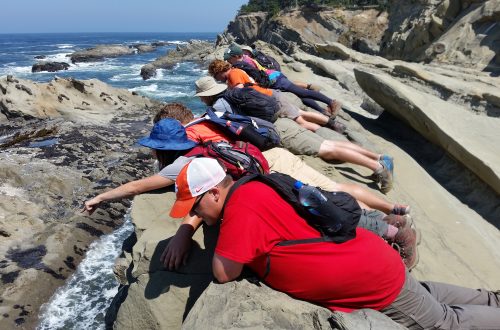 Students on west limb of large syncline at Cape Arago.