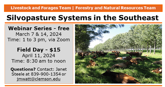 Silvopasture Systems in the Southeast
