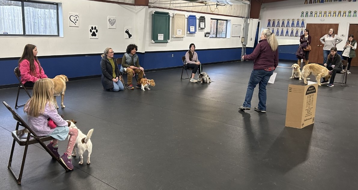 4-H’ers participating in the training classes presented by the Whiskers and Tails 4-H Dog Club. These classes are held weekly in Fountain Inn.