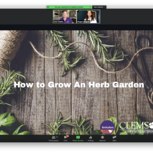 Screenshot from the How to Grow An Herb Garden webinar