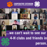 Collage of photos of 4-H agents wearing masks