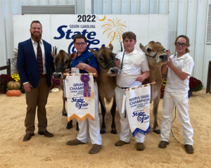 A man and three boys holding three cows.