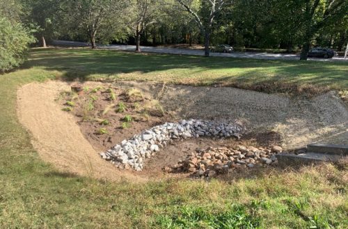 Photo of the bioretention basin after the completed work.