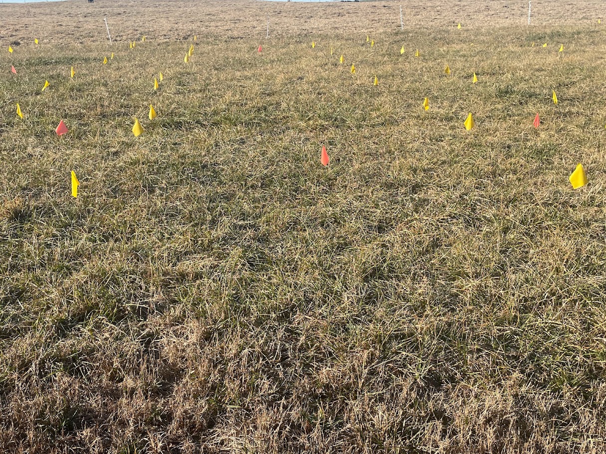 Managing Fescue Hay During the 2026 Spring Drought – Clemson Forages Team