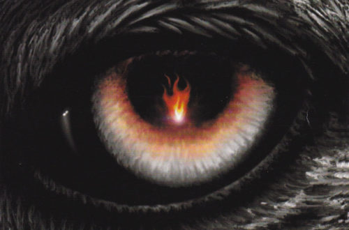 Feed the Fire by John Kay and Steppenwolf Album Cover designed by Stevens