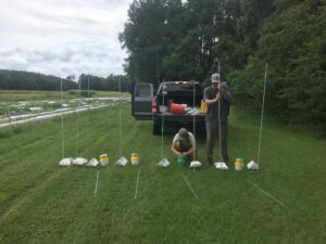 A man and a woman working on insect traps.