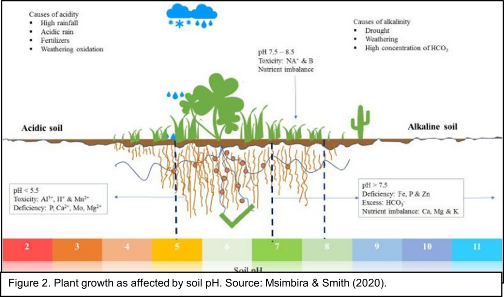 Figure 2: Plant growth as affected by soil pH.