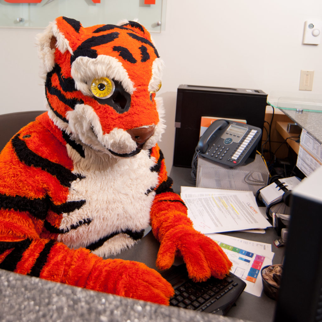 Clemson Tiger mascot sitting at a computer.