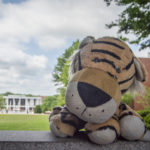 A small stuffed tiger sits on the ground with Cooper Library in the background.