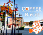 Image of Core sculptures with Tiger COFFEE logo, reading: COFEE Basics.