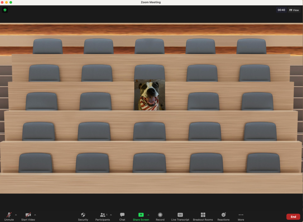 Screenshot of the classroom background for immersive gallery view in Zoom.