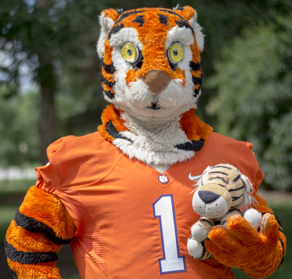The Clemson Tiger mascot looks at the camera, holding a small stuffed tiger in his left paw.