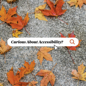 Orange leaves lay on gray gravel. Text that says Curious About Accessibility is enclosed within a mock search bar.