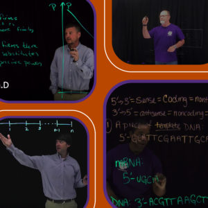 Collaged images of people using the Lightboard to teach.