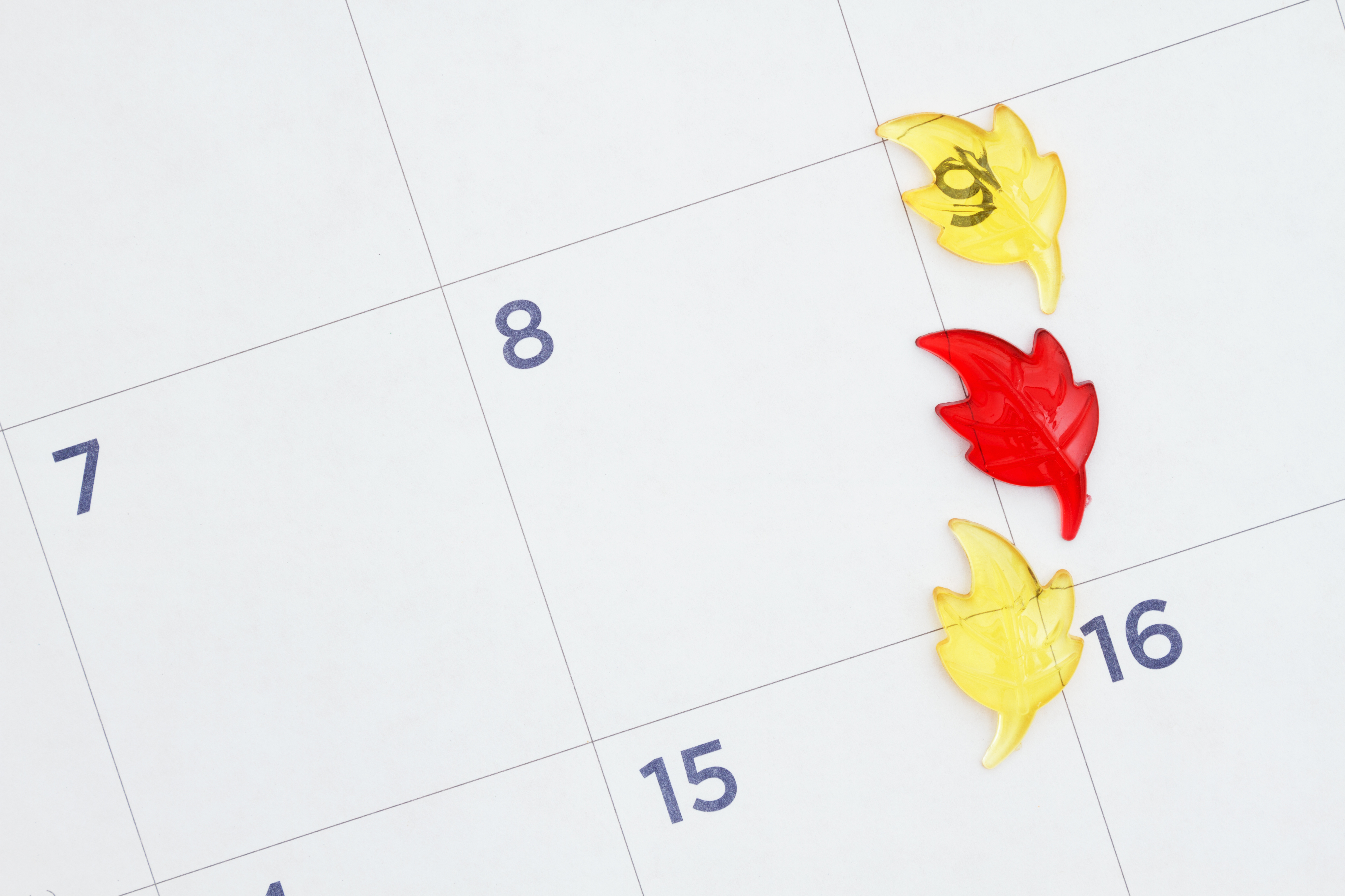 Fall leaves on a monthly calendar.