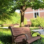 Outdoor bench on Clemson University's campus