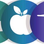 Five differently colored icons from left to right: person meditating, person sleeping, apple, person standing with legs apart, and heart shape with electrocardiogram