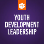Youth Development Leadership