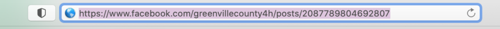 Facebook URL