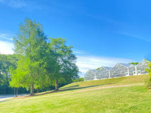 overexposed view of the green houses where everything displays in lighting that is too bright