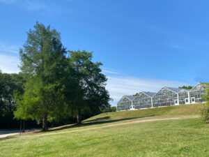 proper exposure view of the green houses where everything displays in optimal lighting