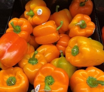 Orange Bell Peppers