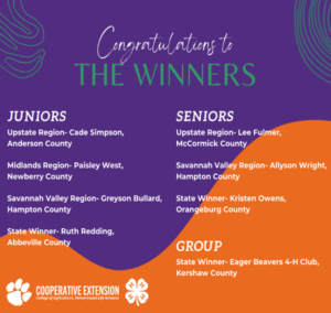 Winner Announcement