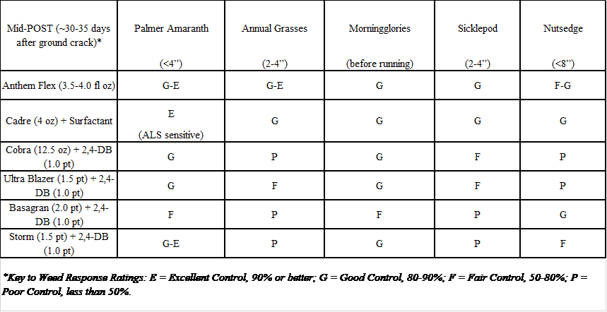 Picture of Table with Herbicide Options
