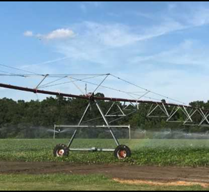 South Carolina Crops | Water Requirements for Activating ...