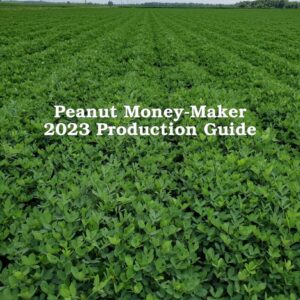 cover image from 2023 Peanut Production Guide