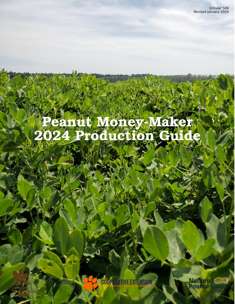 Picture of cover of 2024 peanut production guide, happy peanut canopy in the background with clouds above