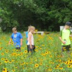 children in a field of flowers