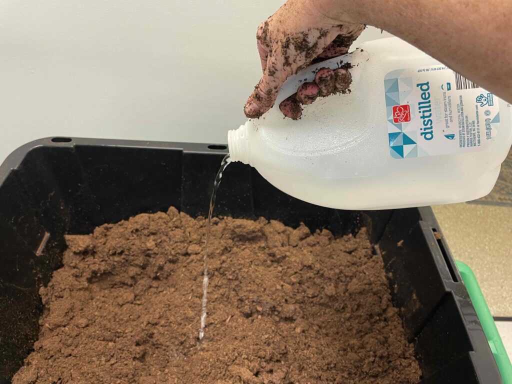 hand pouring distilled water into peat moss