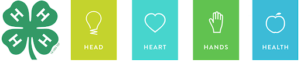 $H Logo -Head Heart Hands Health