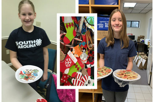 Cookies & Ornaments made by 4-Hers