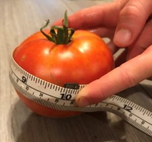 Tape measure a tomatoe