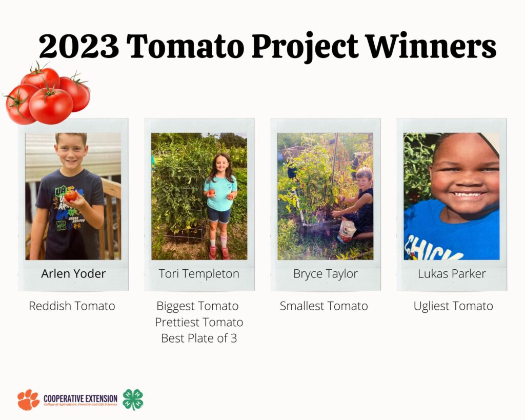 2023 Tomato Project Winners