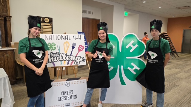 Three 4-H members participating in the National 4-H Food Challenge. 