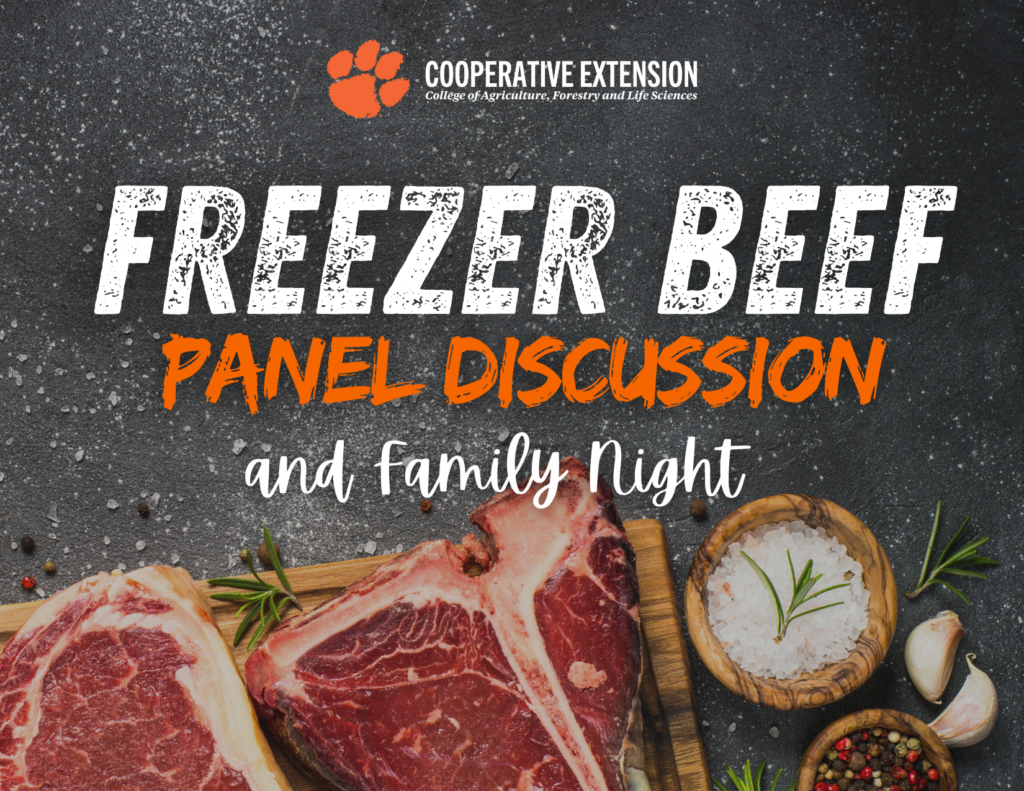 Freezer Beef Panel Discussion